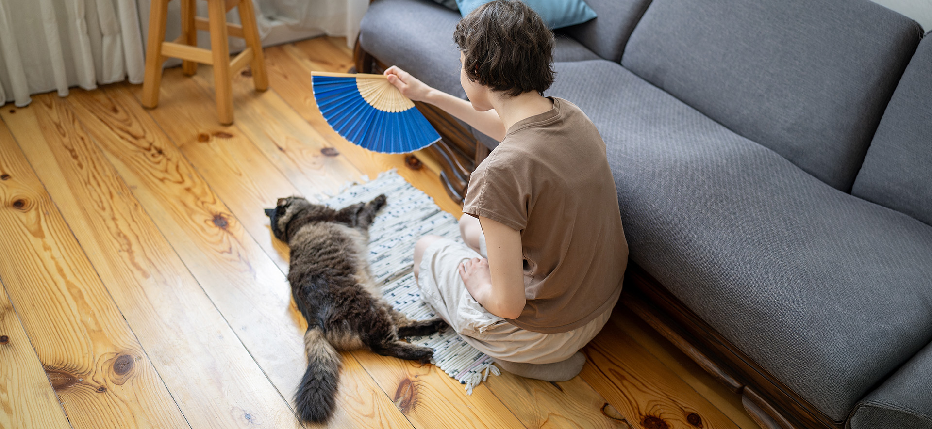 hidratación de los gato